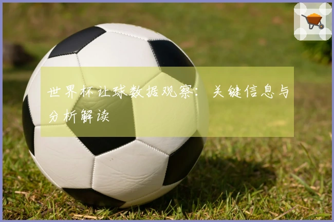 世界杯让球数据观察：关键信息与分析解读
