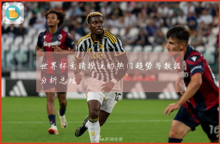 世界杯竞猜投注的热门趋势与数据分析总结