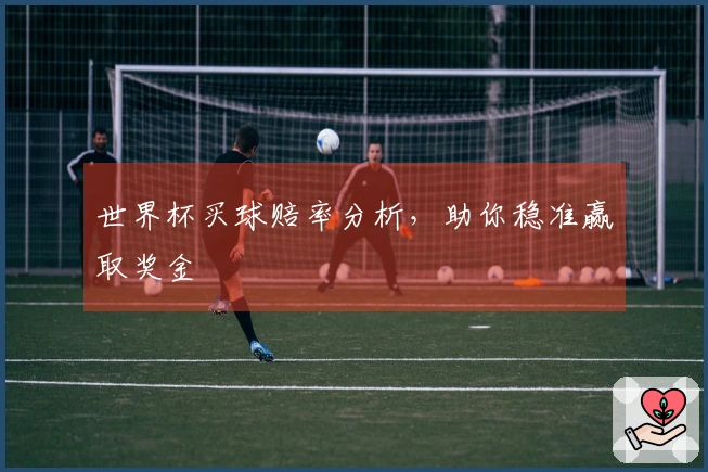 世界杯买球赔率分析，助你稳准赢取奖金