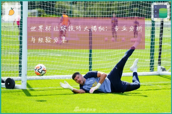 世界杯让球技巧大揭秘：专业分析与经验分享