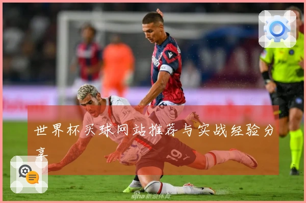 世界杯买球网站推荐与实战经验分享