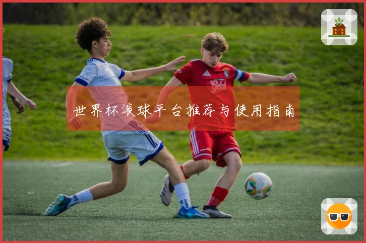 世界杯滚球平台推荐与使用指南