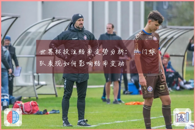 世界杯投注赔率走势分析：热门球队表现如何影响赔率变动