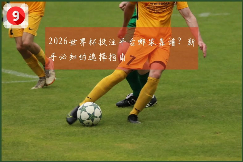 2026世界杯投注平台哪家靠谱？新手必知的选择指南