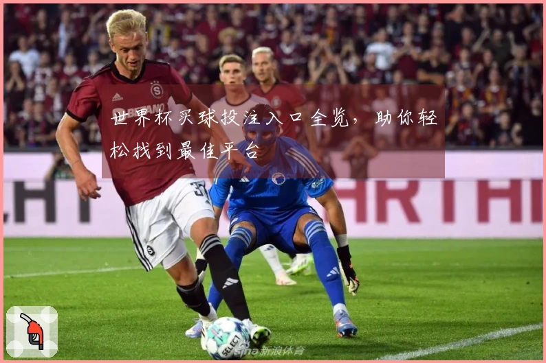 世界杯买球投注入口全览，助你轻松找到最佳平台