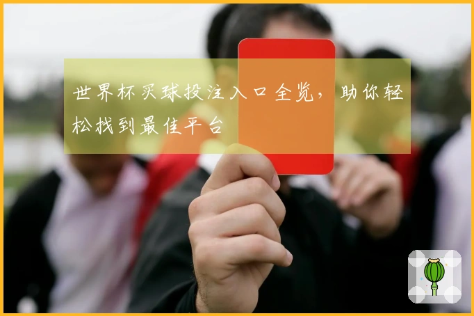 世界杯买球投注入口全览，助你轻松找到最佳平台