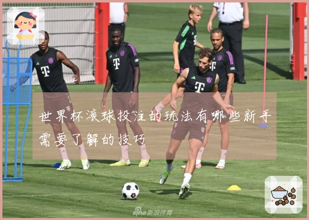 世界杯滚球投注的玩法有哪些新手需要了解的技巧