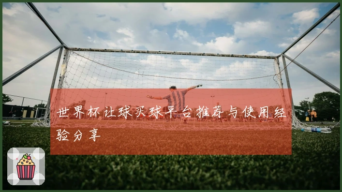 世界杯让球买球平台推荐与使用经验分享