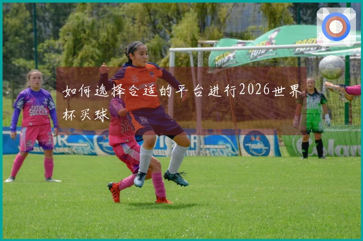 如何选择合适的平台进行2026世界杯买球