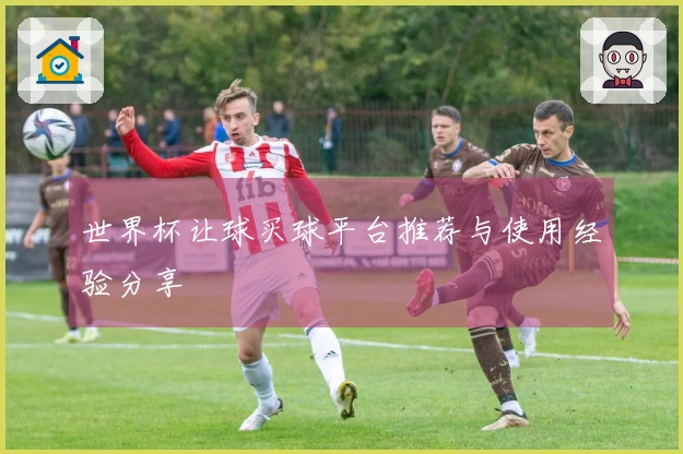 世界杯让球买球平台推荐与使用经验分享