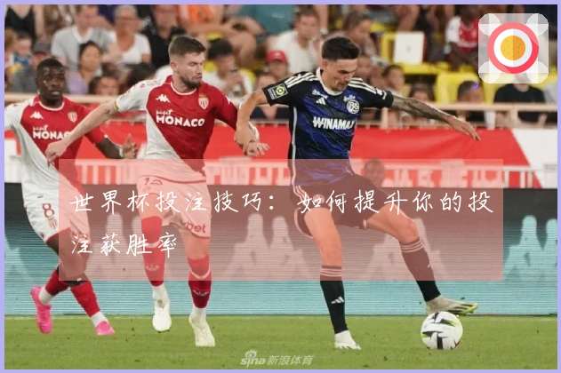 世界杯投注技巧：如何提升你的投注获胜率