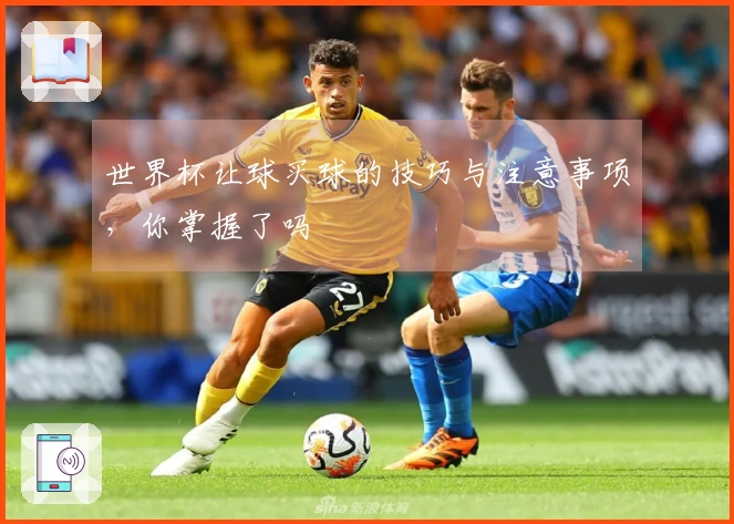世界杯让球买球的技巧与注意事项，你掌握了吗