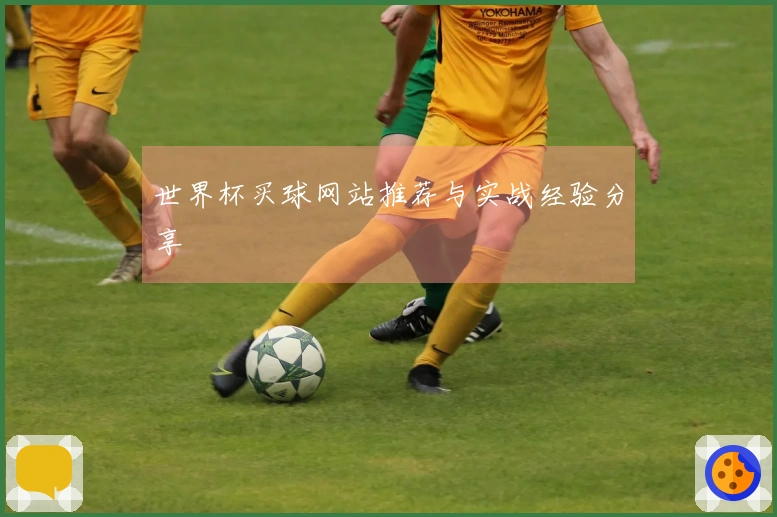 世界杯买球网站推荐与实战经验分享